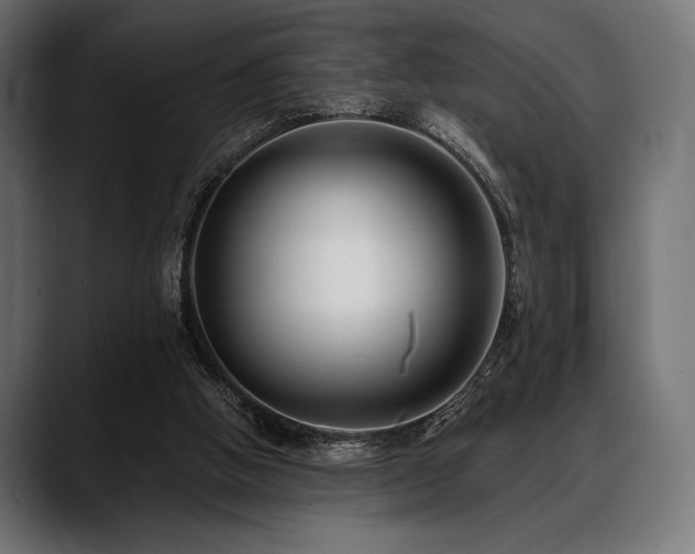 X0000088610058200705251229