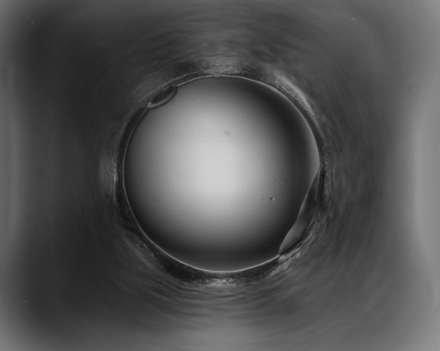 X0000088610059200705251229