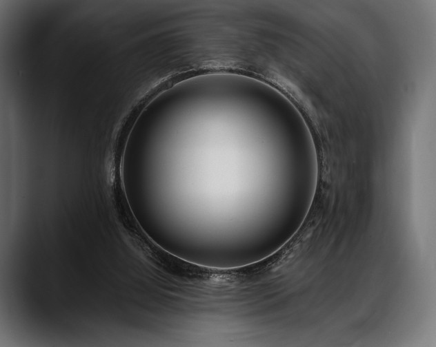 X0000088610060200705251229