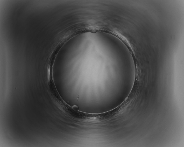 X0000088610061200705251229