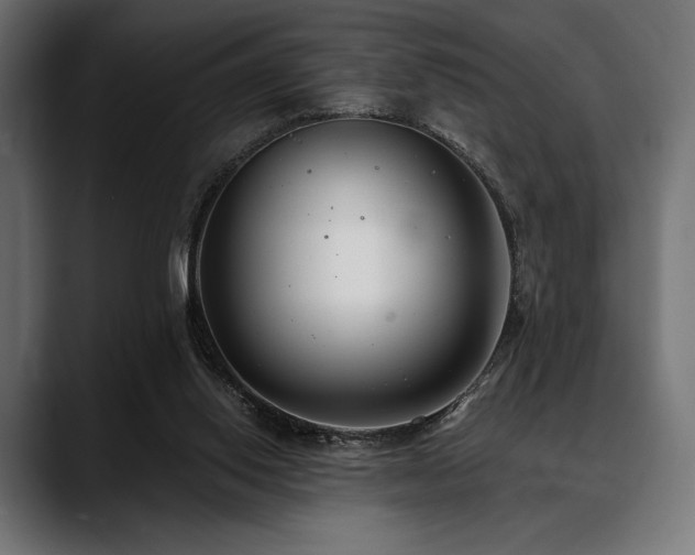 X0000088610062200705251229