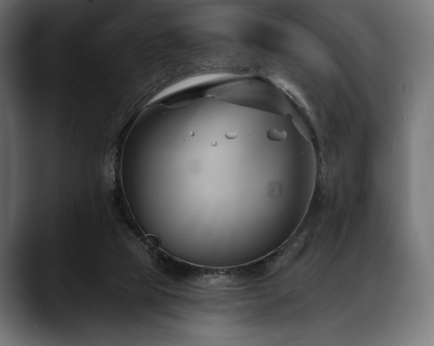 X0000088610065200705251229