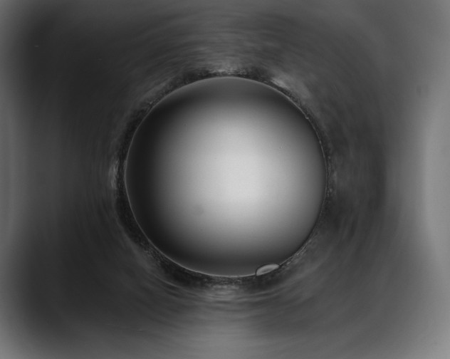 X0000088610066200705251229