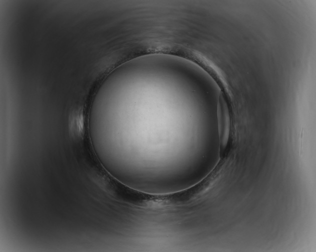 X0000088610067200705251229