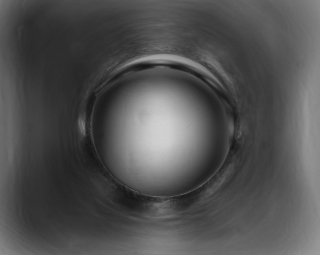 X0000088610068200705251229