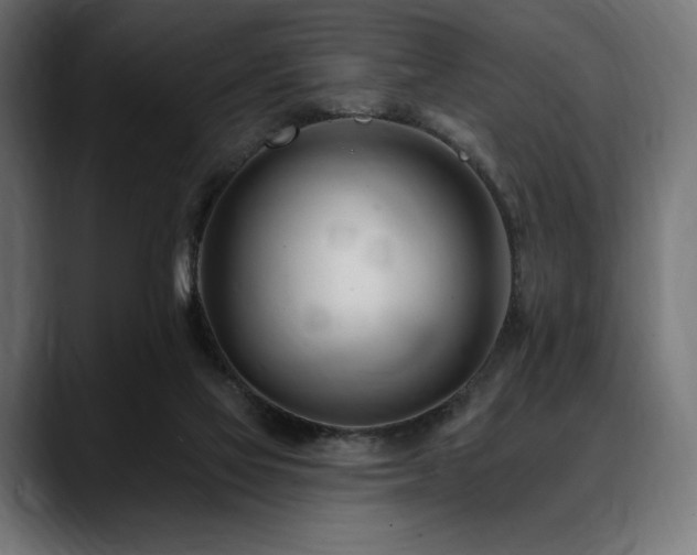 X0000088610069200705251229