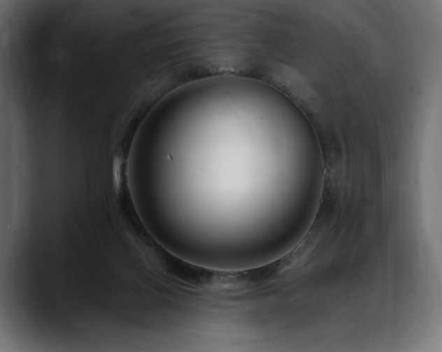 X0000088610070200705251229