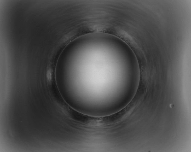 X0000088610071200705251229