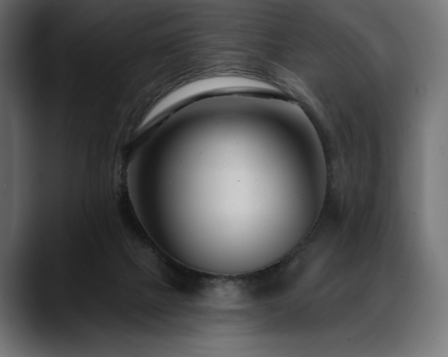 X0000088610073200705251229