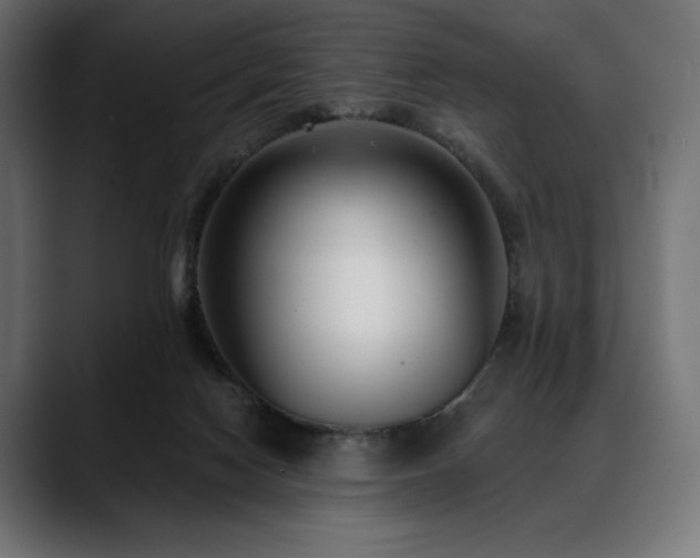 X0000088610074200705251229