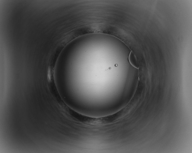 X0000088610075200705251229