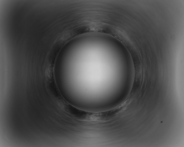 X0000088610078200705251229