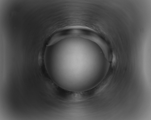 X0000088610080200705251229