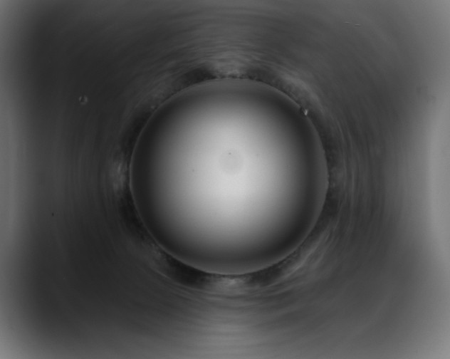 X0000088610081200705251229