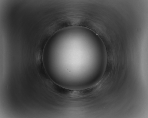 X0000088610082200705251229