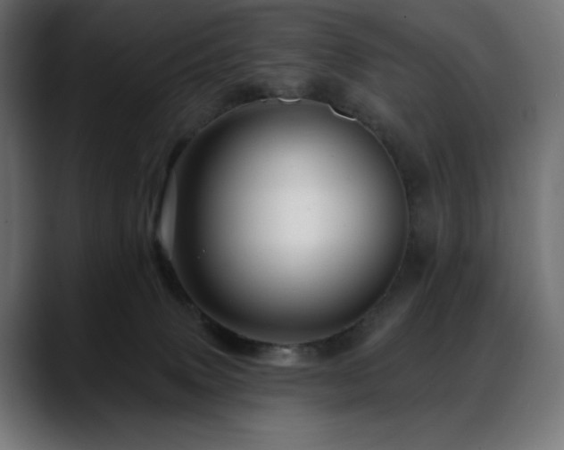 X0000088610083200705251229