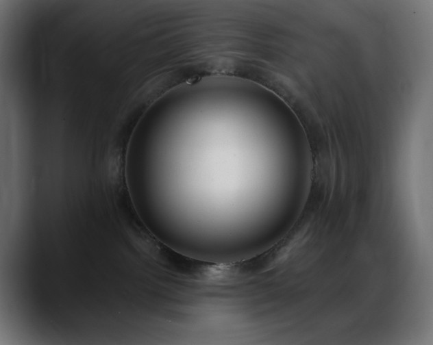 X0000088610092200705251229