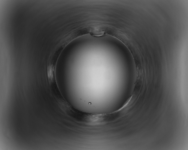 X0000088610094200705251229