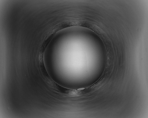 X0000088610096200705251230