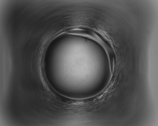 X0000088610097200705251229