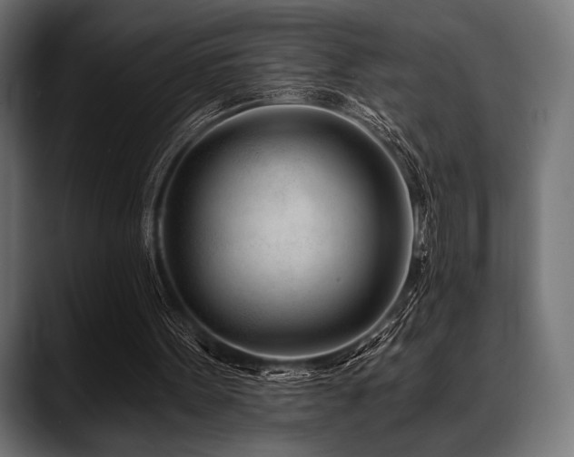 X0000088610099200705251229