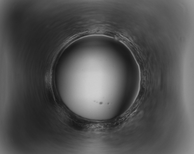 X0000088610100200705251229