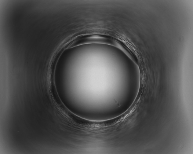 X0000088610101200705251229