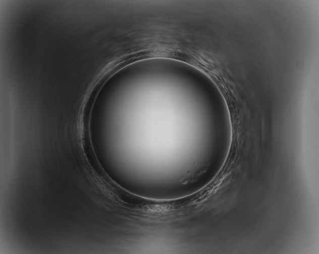 X0000088610102200705251229