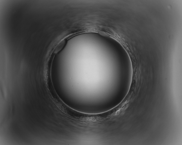 X0000088610103200705251229