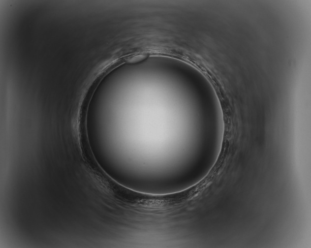 X0000088610104200705251229