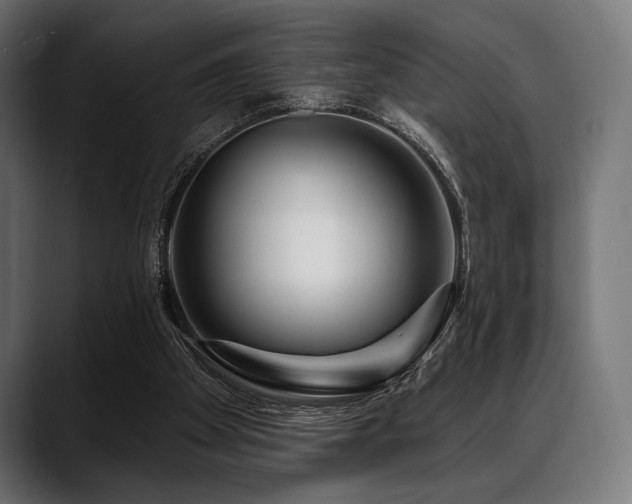 X0000088610105200705251229