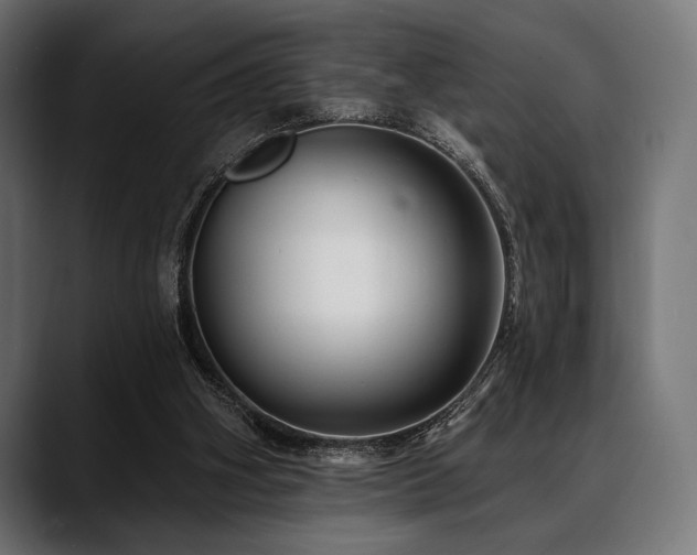 X0000088610106200705251229