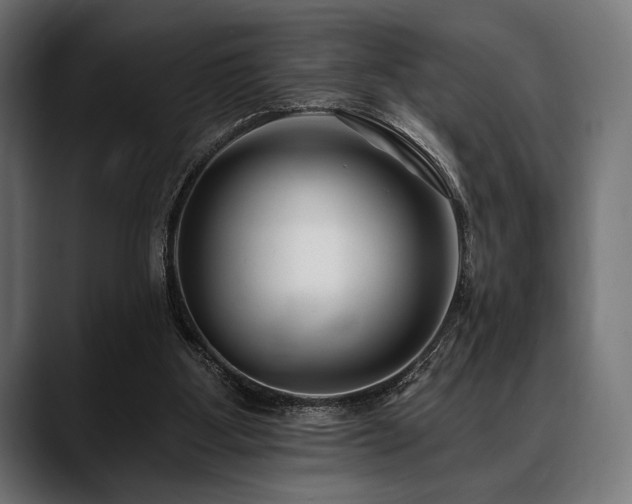 X0000088610107200705251229