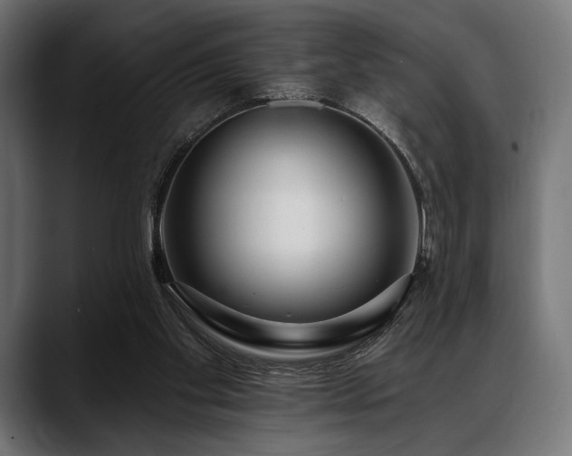 X0000088610109200705251229