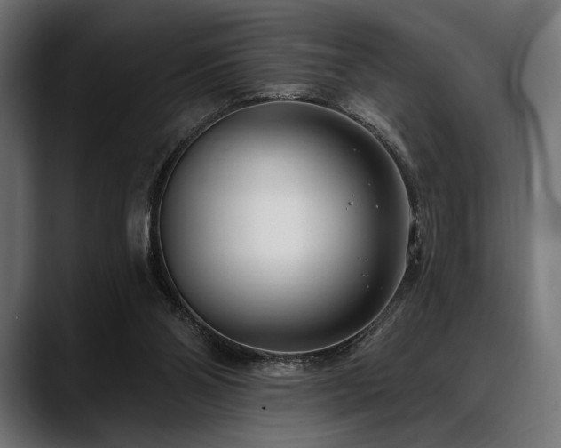 X0000088610110200705251229