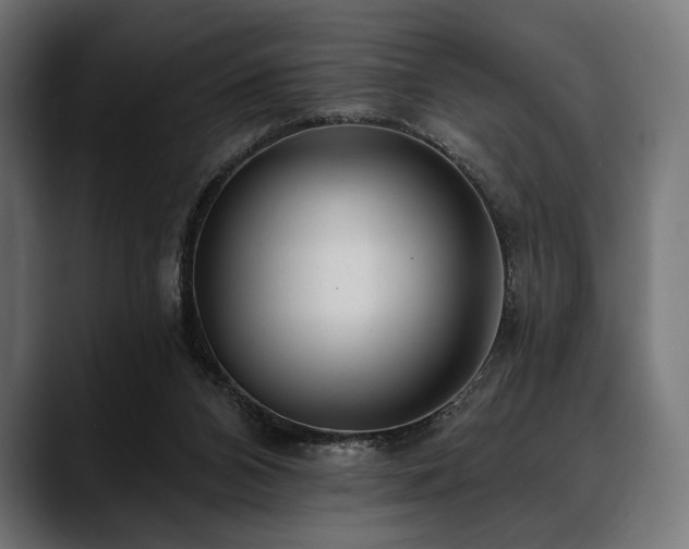 X0000088610112200705251229