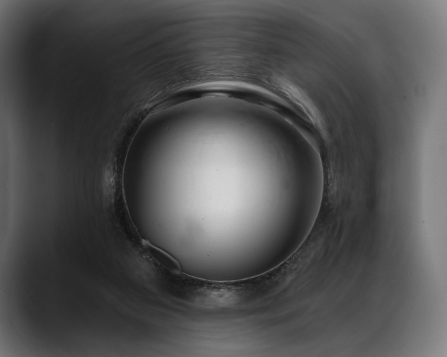 X0000088610113200705251229