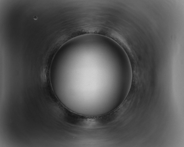 X0000088610114200705251229