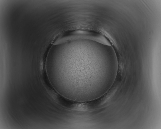 X0000088610117200705251229