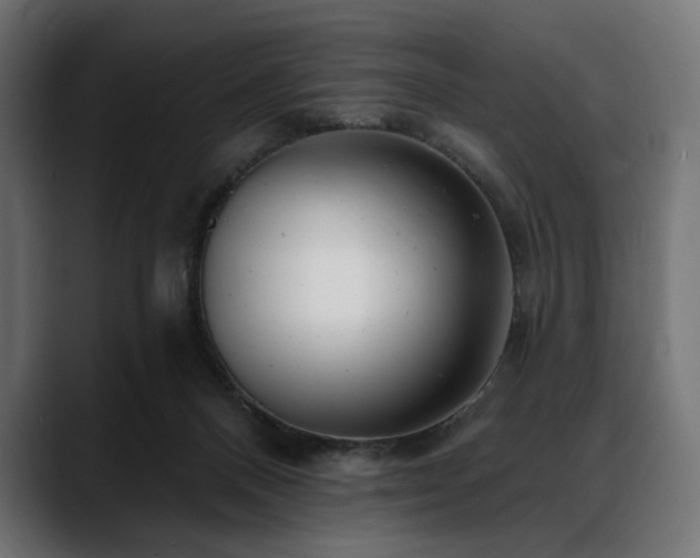 X0000088610120200705251229