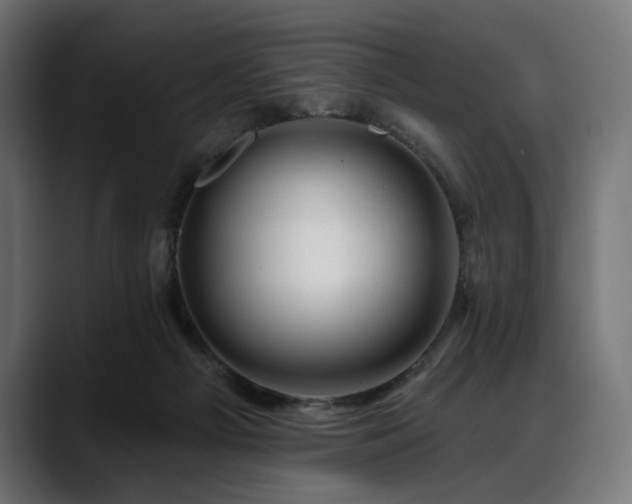 X0000088610121200705251229