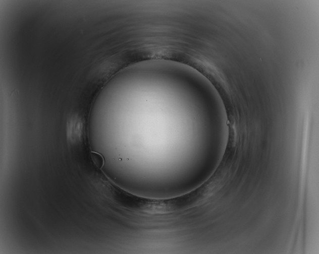 X0000088610123200705251229