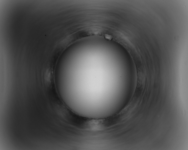 X0000088610126200705251229