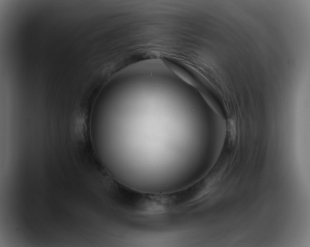 X0000088610127200705251228