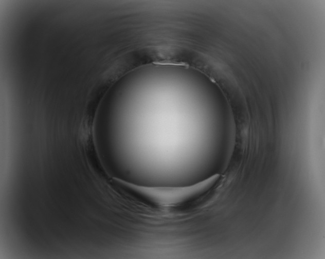 X0000088610129200705251228