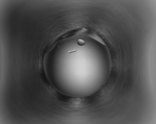 X0000088610131200705251228