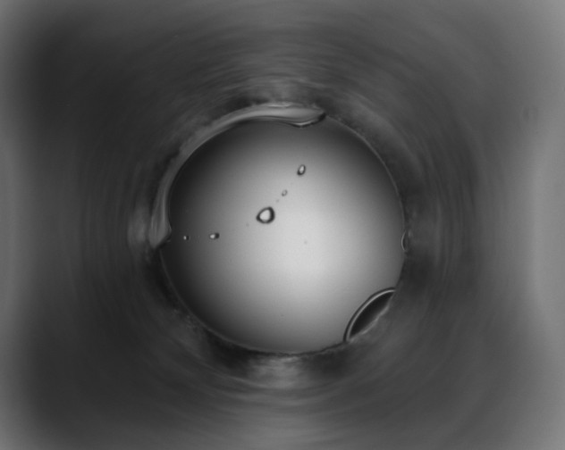 X0000088610132200705251228