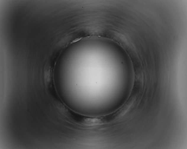 X0000088610133200705251228