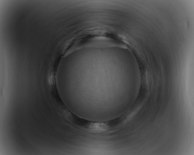 X0000088610137200705251228