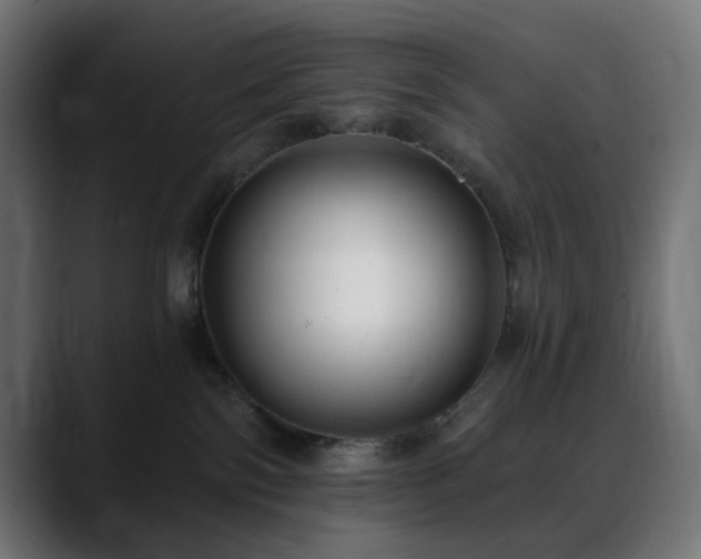 X0000088610138200705251228